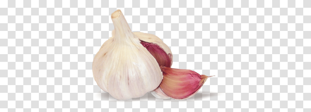 Garlic, Vegetable, Plant, Food Transparent Png