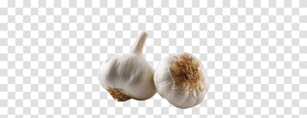 Garlic, Vegetable, Plant, Food Transparent Png
