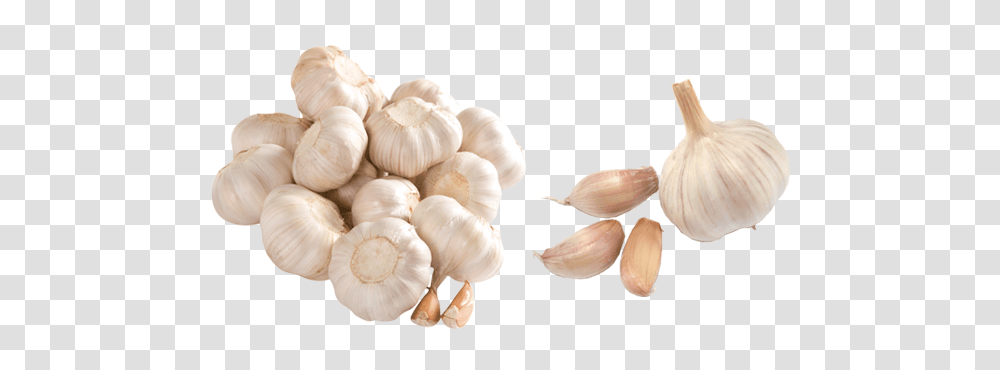 Garlic, Vegetable, Plant, Food Transparent Png
