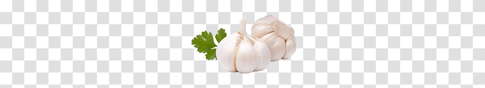 Garlic, Vegetable, Plant, Food Transparent Png