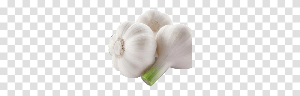 Garlic, Vegetable, Plant, Food Transparent Png