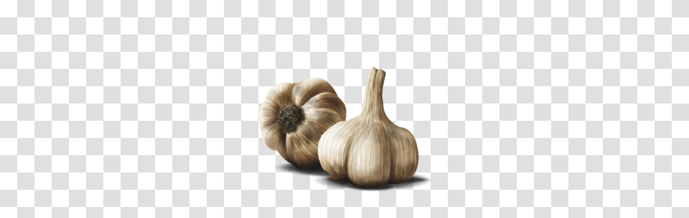 Garlic, Vegetable, Plant, Food Transparent Png