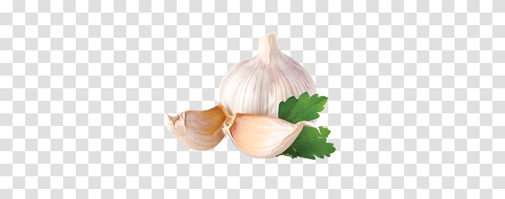 Garlic, Vegetable, Plant, Food Transparent Png