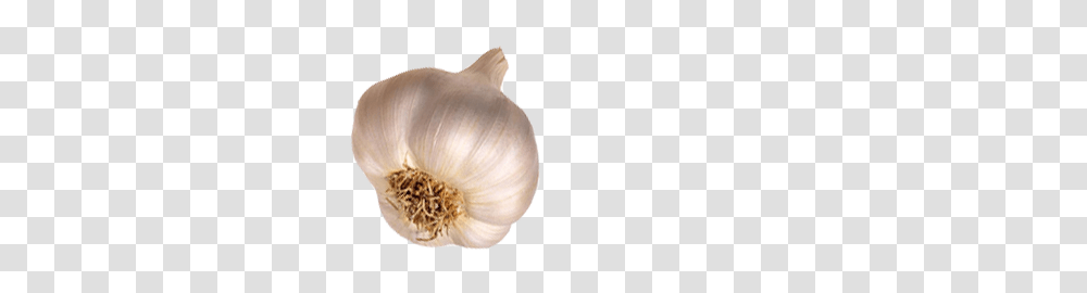 Garlic, Vegetable, Plant, Food Transparent Png