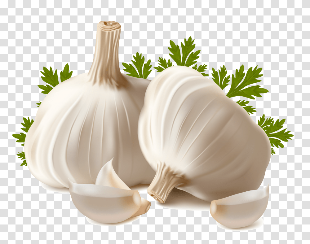 Garlic, Vegetable, Plant, Food, Wedding Cake Transparent Png