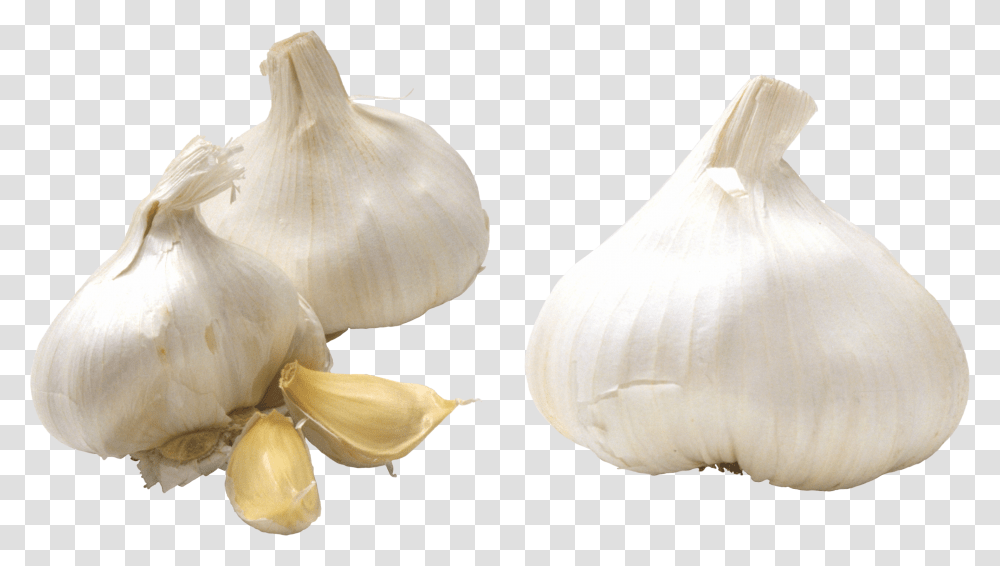 Garlic, Vegetable, Plant, Food, Wedding Gown Transparent Png