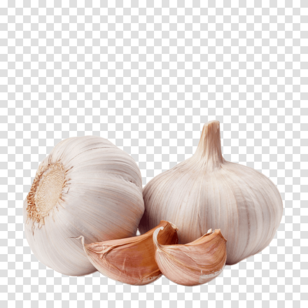 Garlic, Vegetable, Plant, Fungus, Food Transparent Png