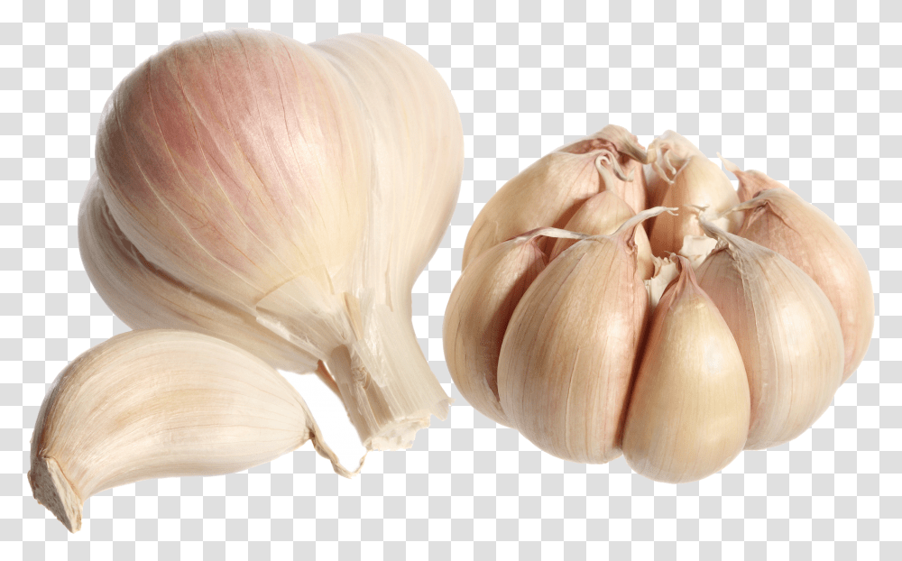Garlic, Vegetable Transparent Png