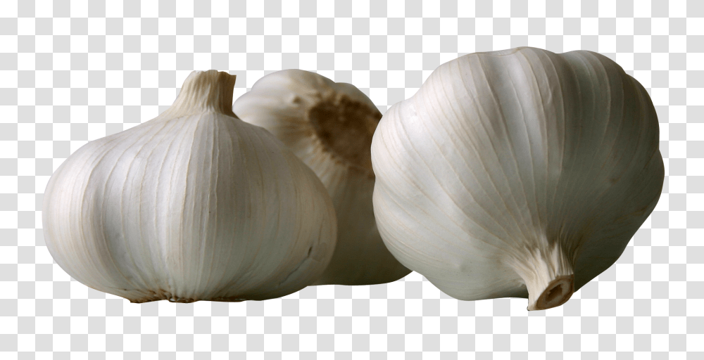 Garlics Image, Vegetable, Plant, Food, Fungus Transparent Png