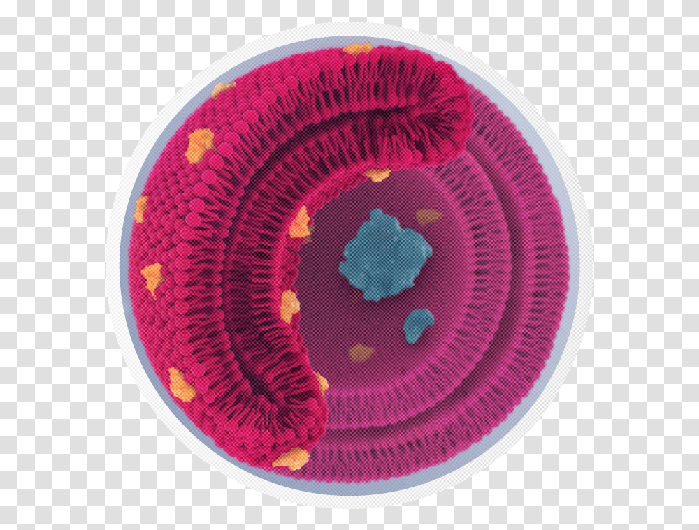 Garr Biomedical Visuals Demo Reel Icon, Rug, Frisbee, Toy, Land Transparent Png