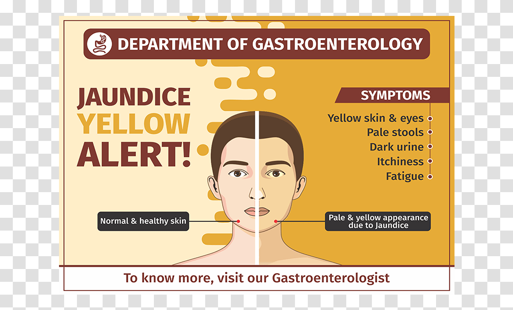 Gastroenterology Jaundice Poster, Advertisement, Flyer, Paper, Brochure Transparent Png