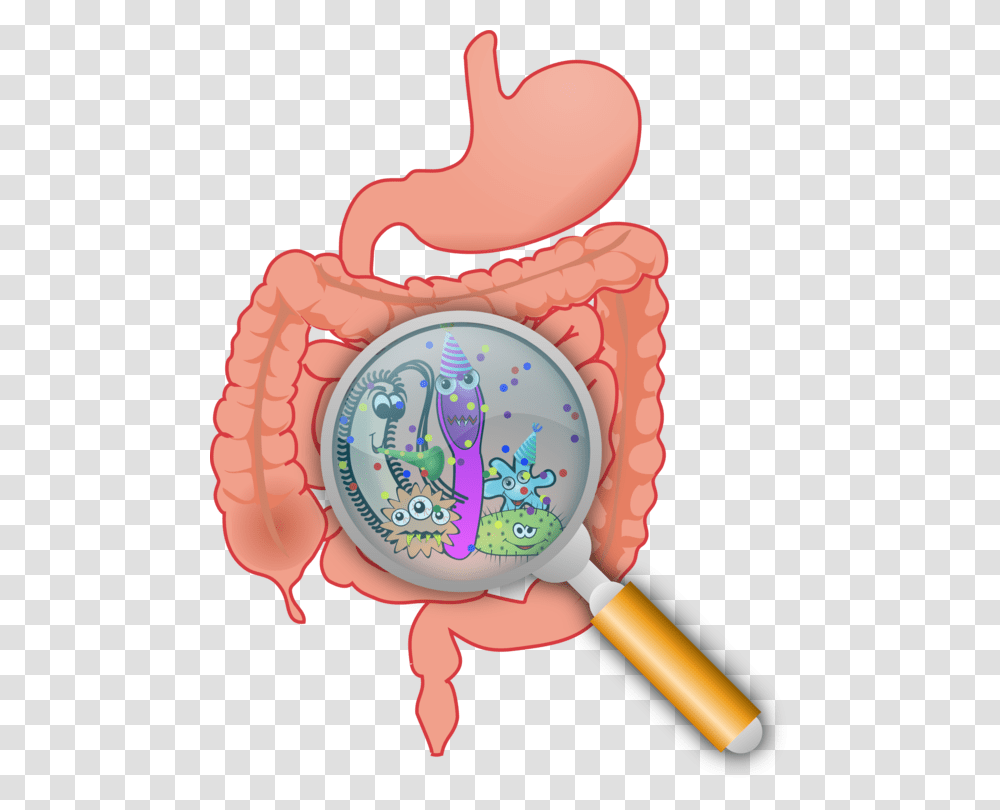 Gastrointestinal Tract Gut Flora Bacteria Large Intestine Small, Birthday Cake, Dessert, Food, Toy Transparent Png