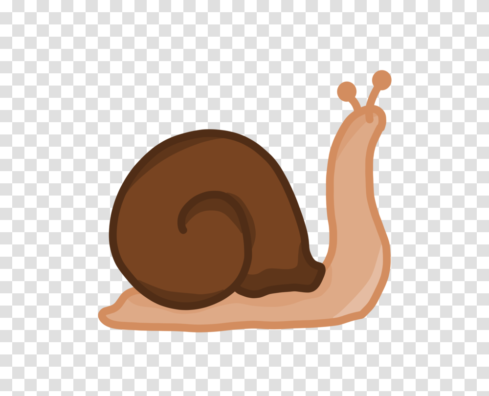 Gastropods Snail Slug Stylommatophora Drawing, Animal, Invertebrate Transparent Png