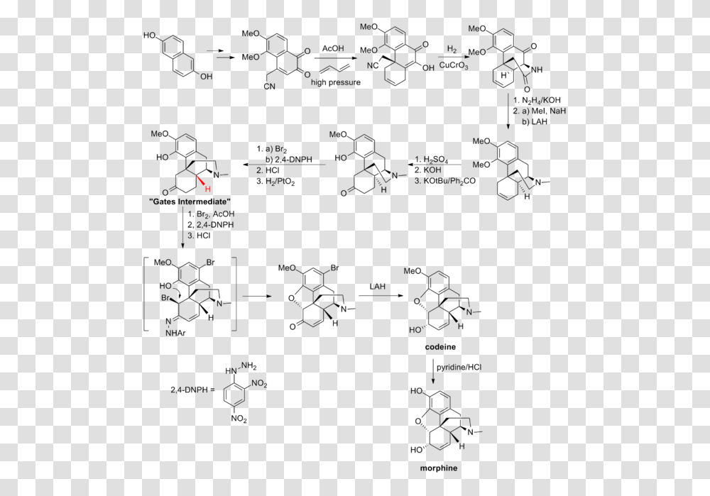 Gates Synthesis Morphine Synthesis, Menu, Diagram, Plot Transparent Png