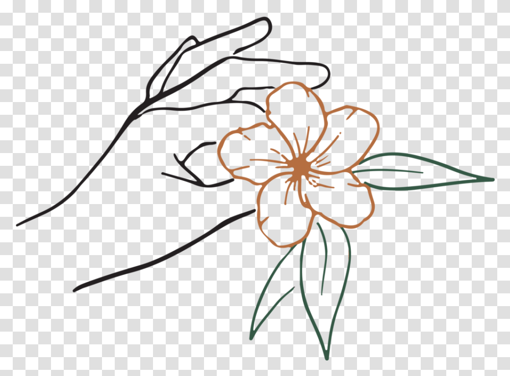 Gathering Hands, Plant, Flower, Blossom, Spider Transparent Png