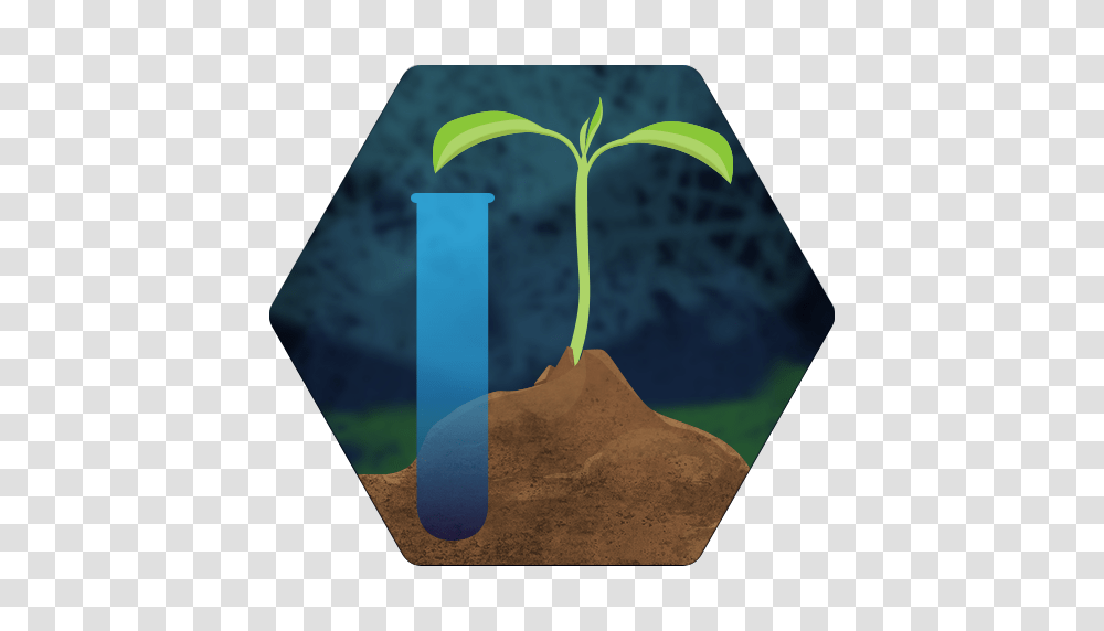 Gathering Soil Samples, Outdoors, Plant, Field, Nature Transparent Png