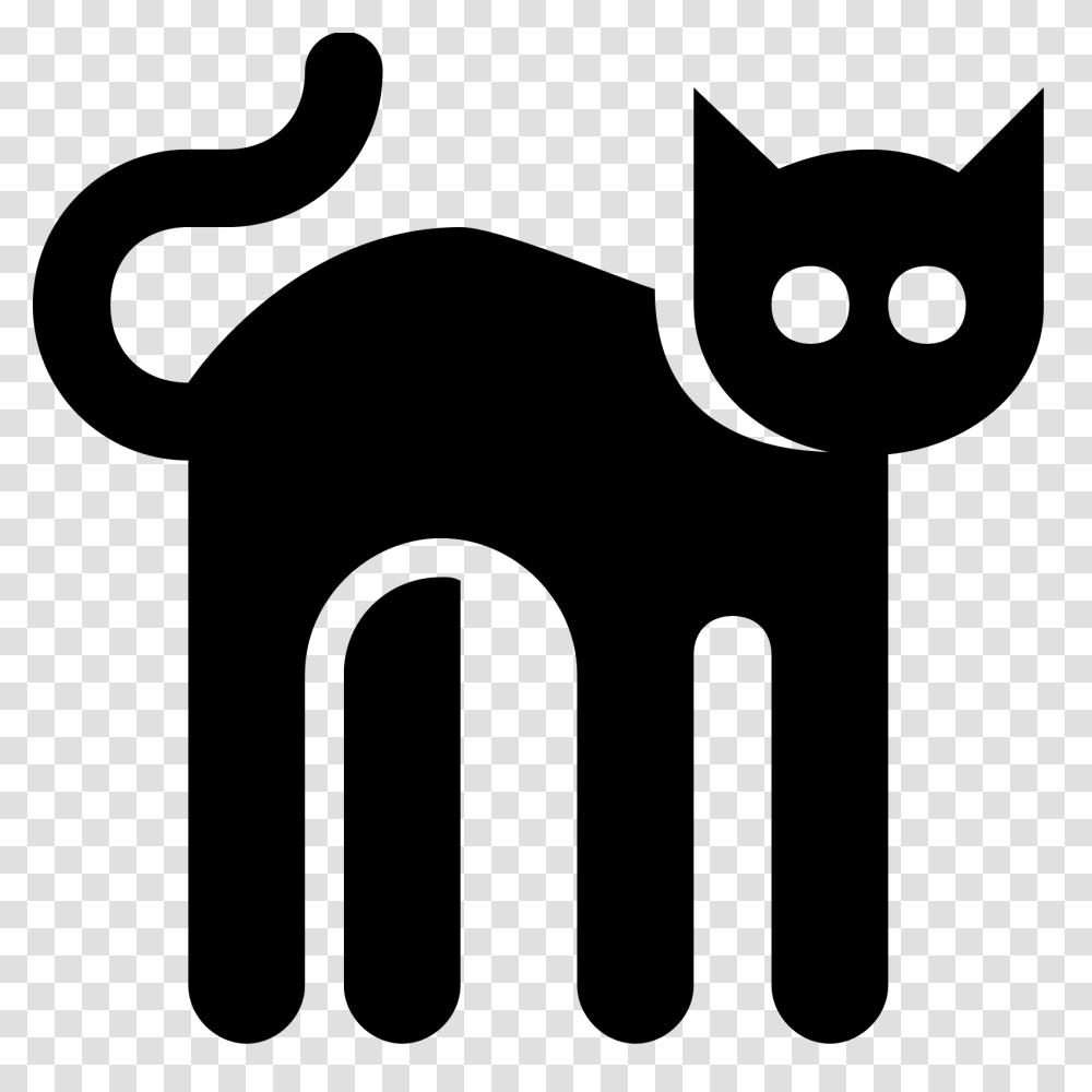 Gato, Gray, World Of Warcraft Transparent Png