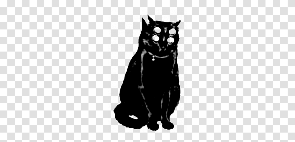 Gato Negro Ediciones Anagram Books, Black Cat, Pet, Mammal, Animal Transparent Png