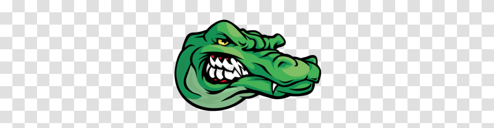 Gator Logo Image, Teeth, Mouth, Lip, Animal Transparent Png