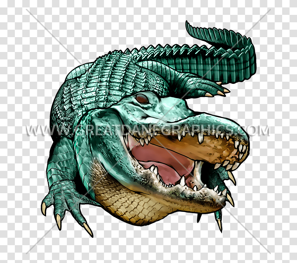 Gator Production Ready Artwork For T Shirt Printing, Reptile, Animal, Crocodile, Alligator Transparent Png