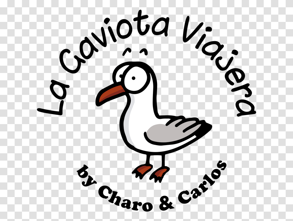 Gaviota Duck, Beak, Bird, Animal, Albatross Transparent Png