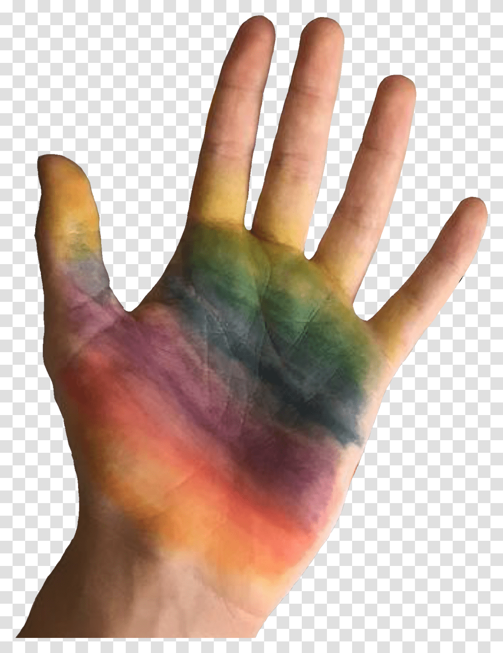 Gay Rainbow, Hand, Wrist, Person, Human Transparent Png