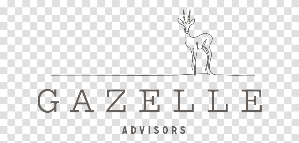 Gazelle Advisors Logo Web 2 Roe Deer, Antelope, Wildlife, Mammal Transparent Png