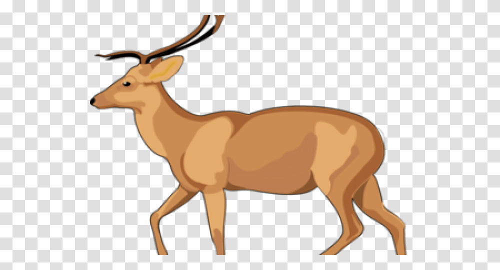 Gazelle Clipart Debden Park High School, Deer, Wildlife, Mammal, Animal Transparent Png