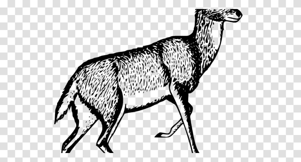 Gazelle Clipart Small Deer, Mammal, Animal, Wildlife, Horse Transparent Png