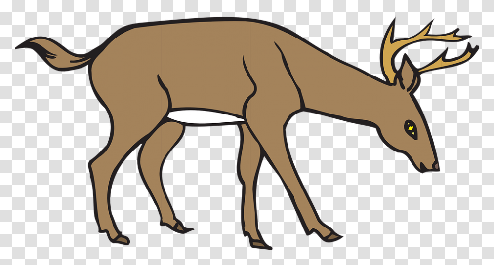 Gazelle Clipart Wild Deer, Wildlife, Animal, Mammal, Antelope Transparent Png