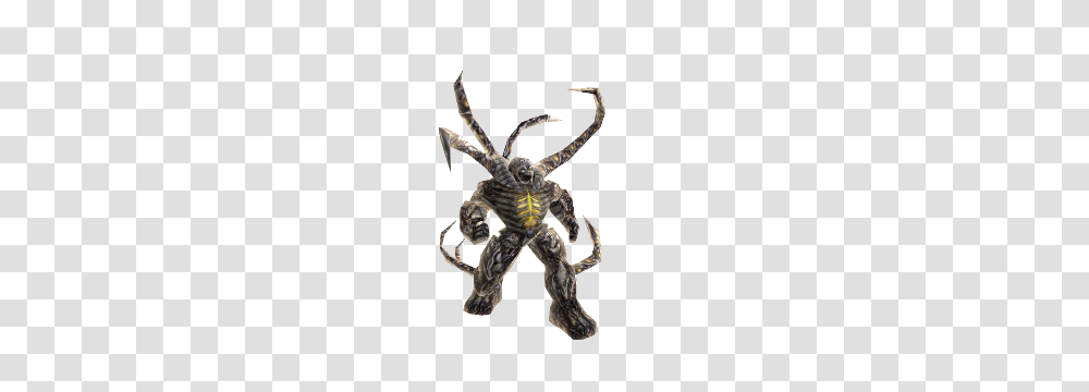 Gears Of War, Spider, Invertebrate, Animal, Arachnid Transparent Png