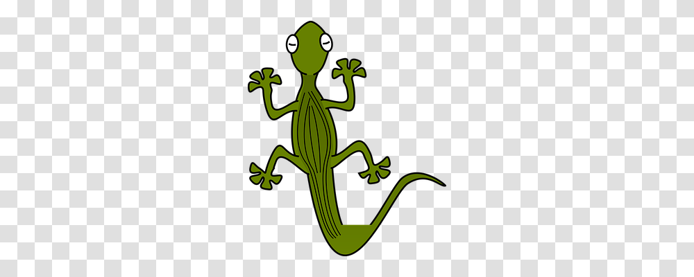 Gecko Animals, Lizard, Reptile, Iguana Transparent Png