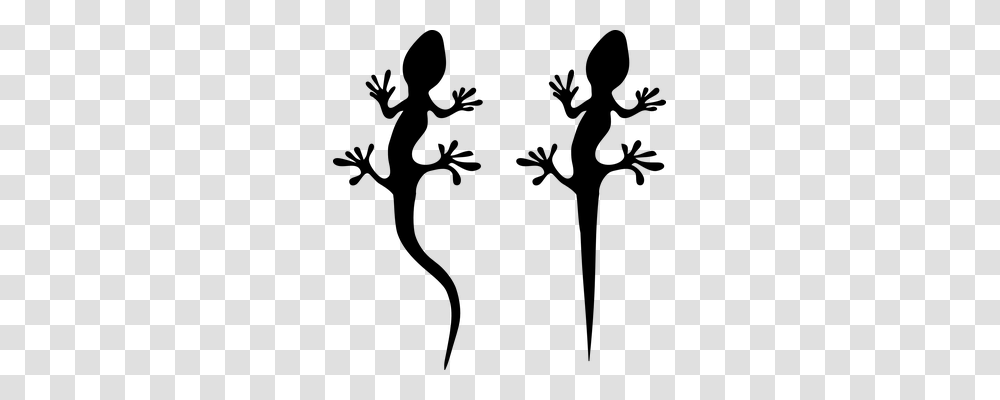 Gecko Nature, Gray, World Of Warcraft Transparent Png