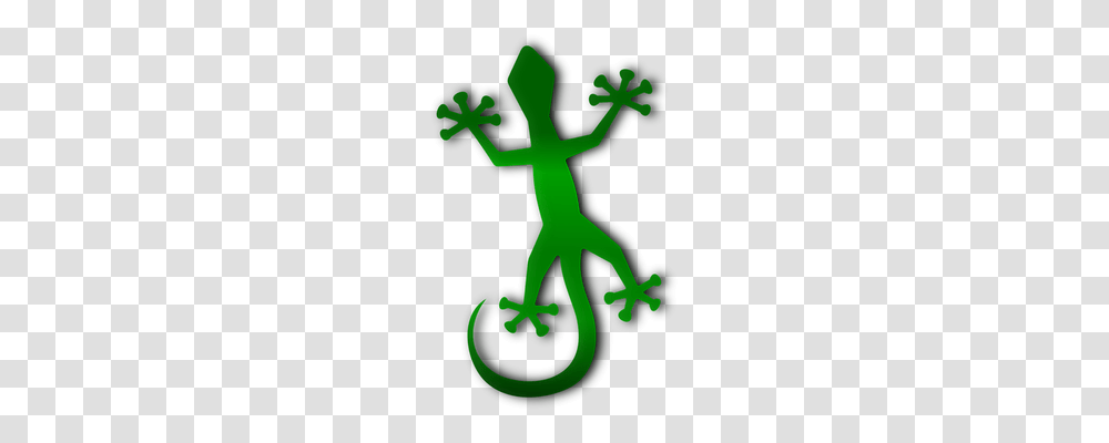 Gecko Nature, Animal, Amphibian Transparent Png