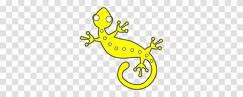 Gecko Animals, Lizard, Reptile, Anole Transparent Png