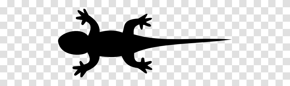 Gecko Clip Art, Silhouette, Lizard, Reptile, Animal Transparent Png