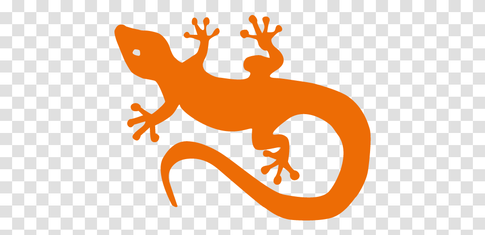 Gecko, Lizard, Reptile, Animal, Amphibian Transparent Png