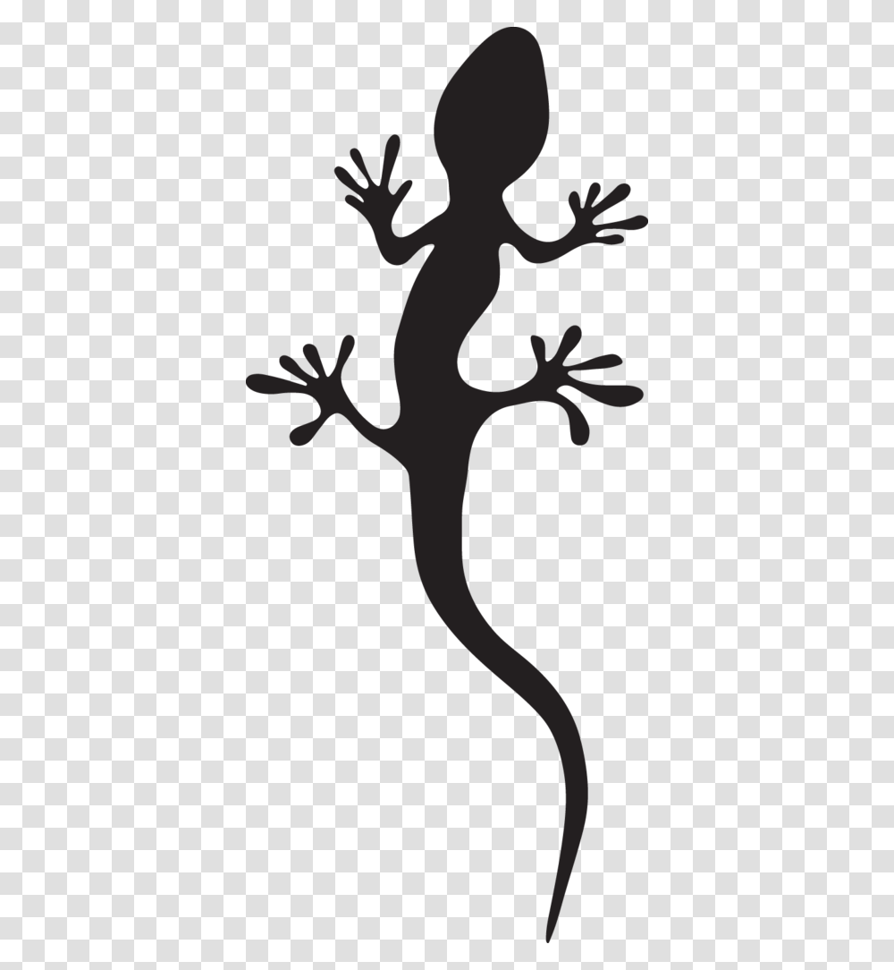 Gecko, Lizard, Reptile, Animal Transparent Png