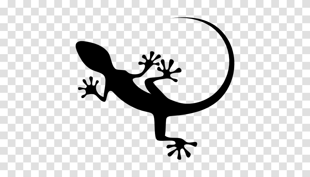 Gecko Top View Shape Free Vector Icons Designed, Lizard, Reptile, Animal, Antelope Transparent Png