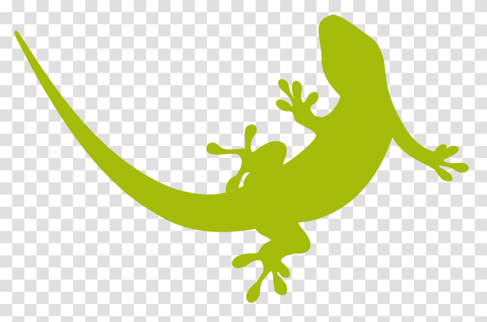 Geckos Images Free Download, Lizard, Reptile, Animal, Amphibian Transparent Png