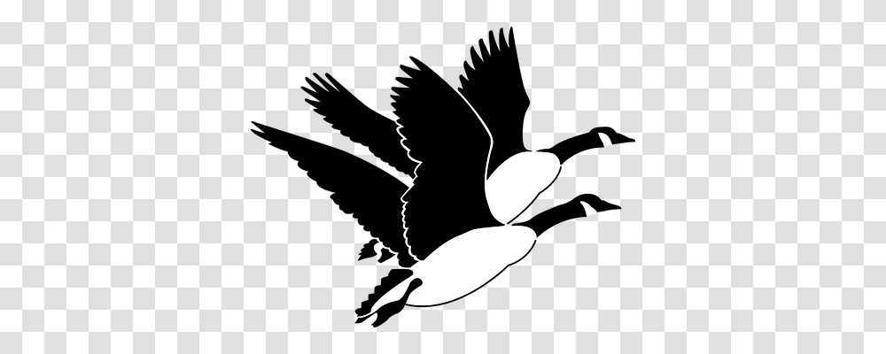 Geese Animals, Stencil, Silhouette Transparent Png