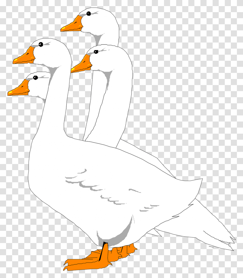 Geese Birds Group Free Vector Graphic On Pixabay Gifs Animados Ocas, Goose, Animal, Duck, Swan Transparent Png