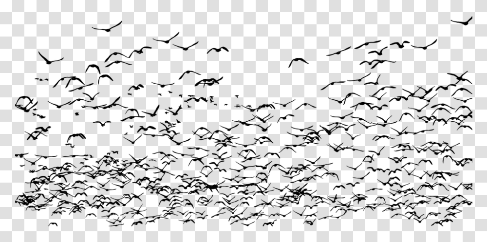 Geese Birds Silhouette Goose Animals Flying Bandada De Aves Migratorias, Gray, World Of Warcraft Transparent Png