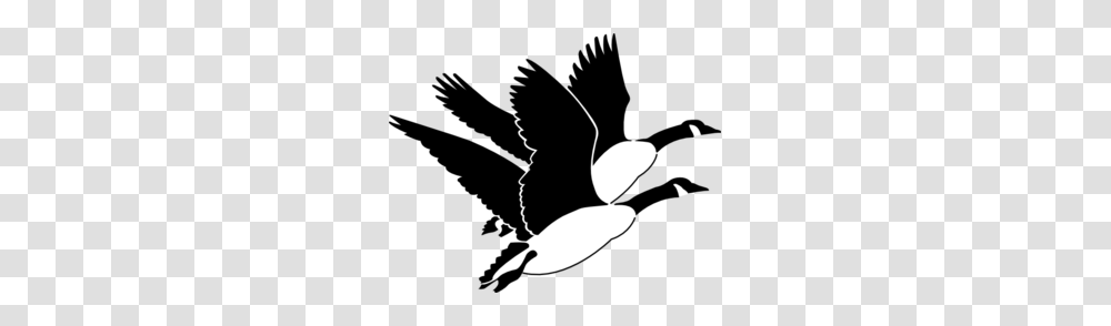 Geese Clip Art For Web, Silhouette, Stencil, Bird, Animal Transparent Png