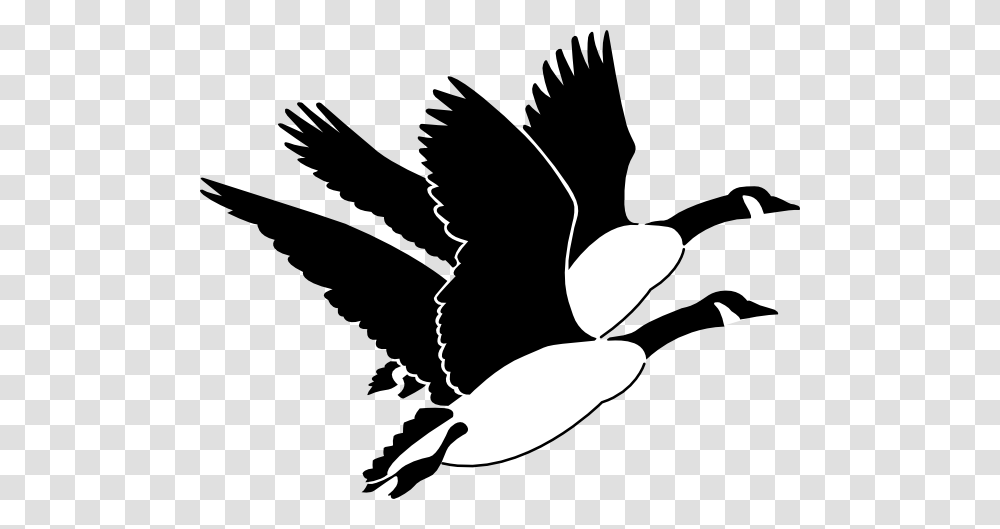 Geese Clip Art, Silhouette, Bird, Animal, Stencil Transparent Png