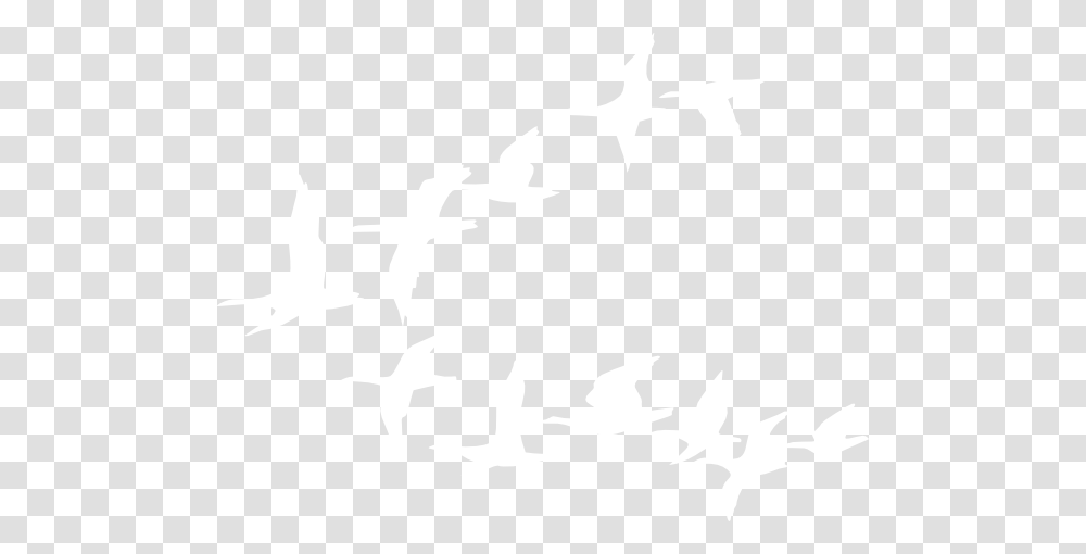 Geese Clip Art, White, Texture, White Board Transparent Png