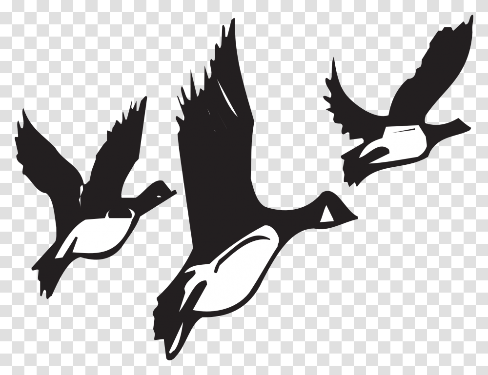 Geese Flying Birds Flight Black White Wildlife Birds Migrating Black And White, Animal, Stencil, Silhouette, Person Transparent Png