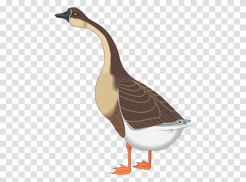 Geese Flying Goose Clipart, Bird, Animal, Anseriformes, Waterfowl Transparent Png