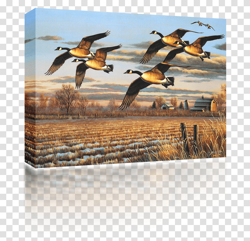 Geese Flying Painting, Bird, Animal, Flock, Outdoors Transparent Png