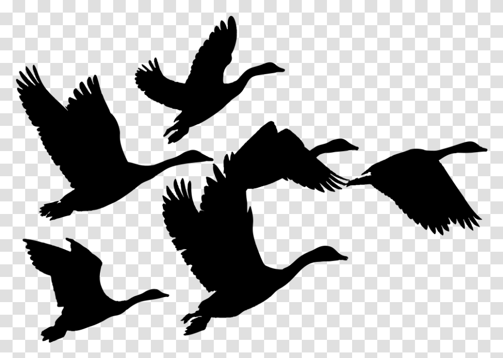 Geese Goose Birds Animals Flying Silhouette Svg Geese Clip Art, Gray, World Of Warcraft Transparent Png